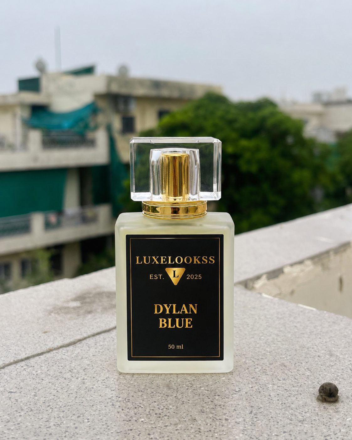 Luxe Lookss - Dylan Blue